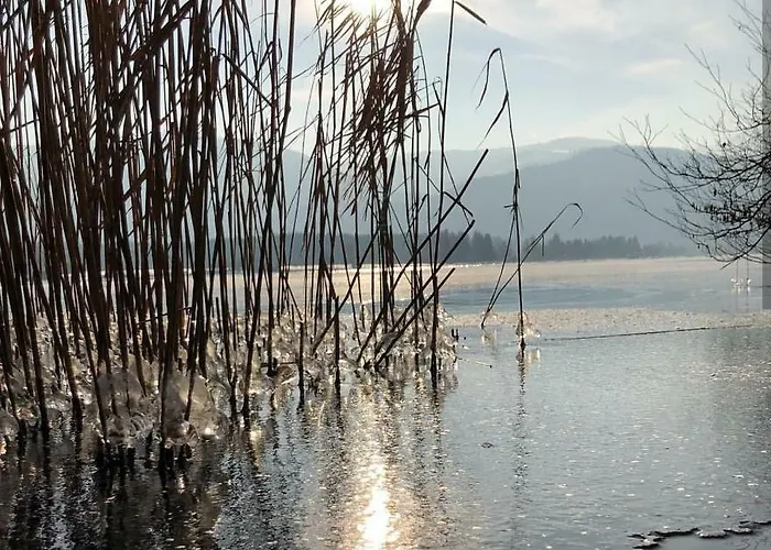 Apartamento Sammer *